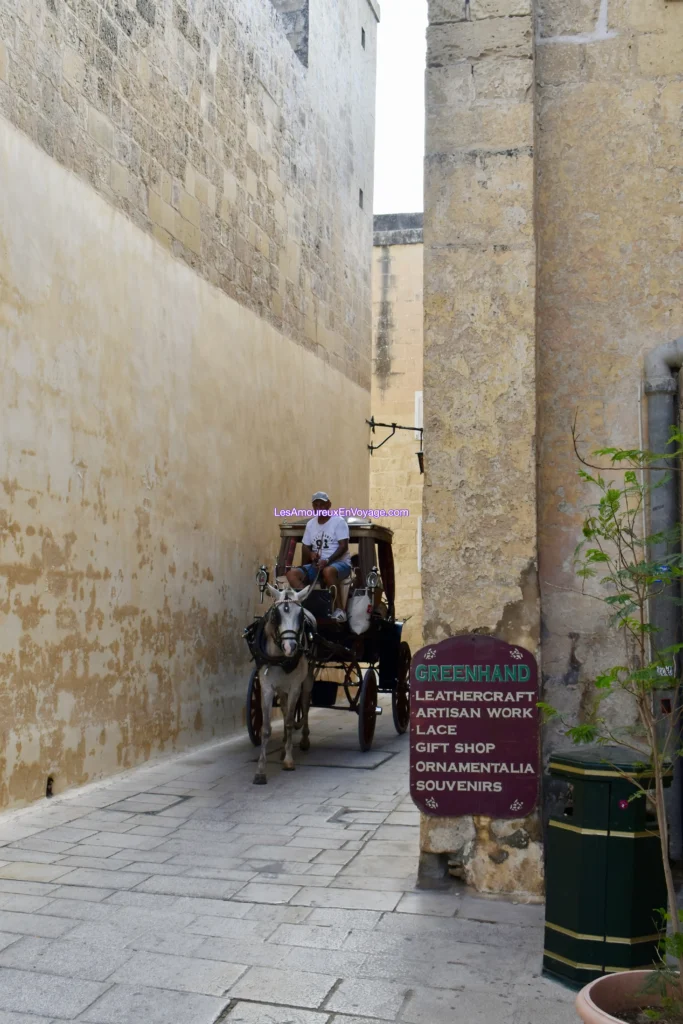 Un cheval à Mdina